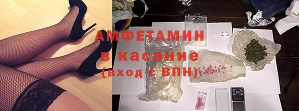 индика Богородицк