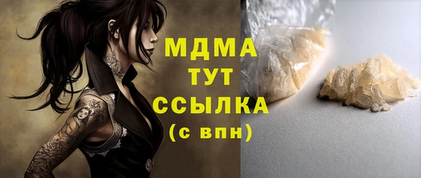 spice Бородино