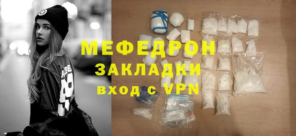 индика Богородицк