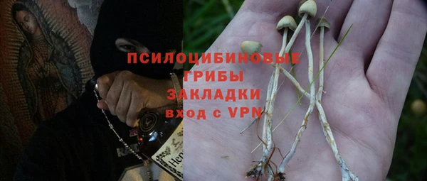 метадон Ветлуга