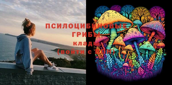 гидропоника Бронницы