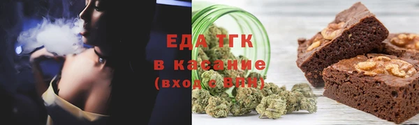 индика Богородицк