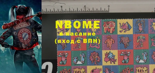 индика Богородицк