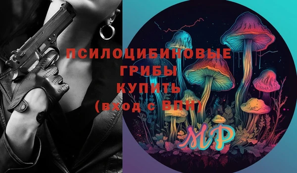 первитин Богородск