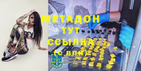 индика Богородицк