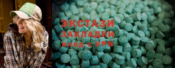 индика Богородицк
