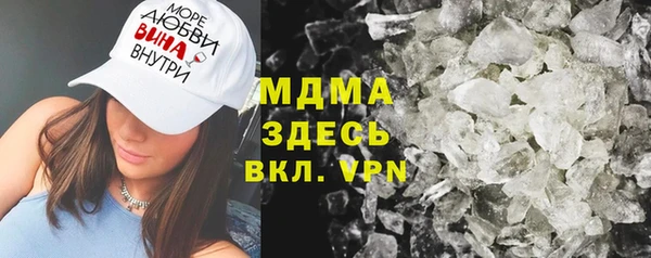 индика Богородицк