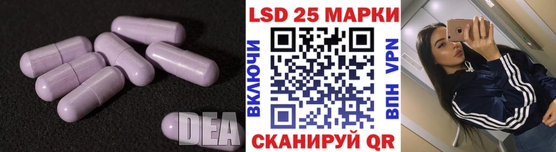 Лсд 25 экстази ecstasy ОМГ ОМГ онион Городец
