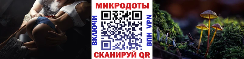 Псилоцибиновые грибы GOLDEN TEACHER  цена   Городец 
