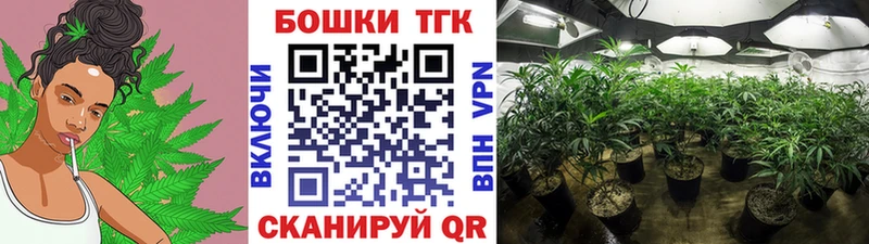 МЕГА сайт  цены   Городец  маркетплейс как зайти  Бошки Шишки OG Kush 